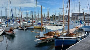 A marina with numerous sailboats docked, a wooden pier, and buildings in the background.