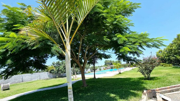 A well-maintained garden with a swimming pool, lush greenery, and a clear sky.