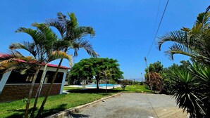 A residential area with a paved driveway, palm trees, a small brick building, and a swimming pool in the background.