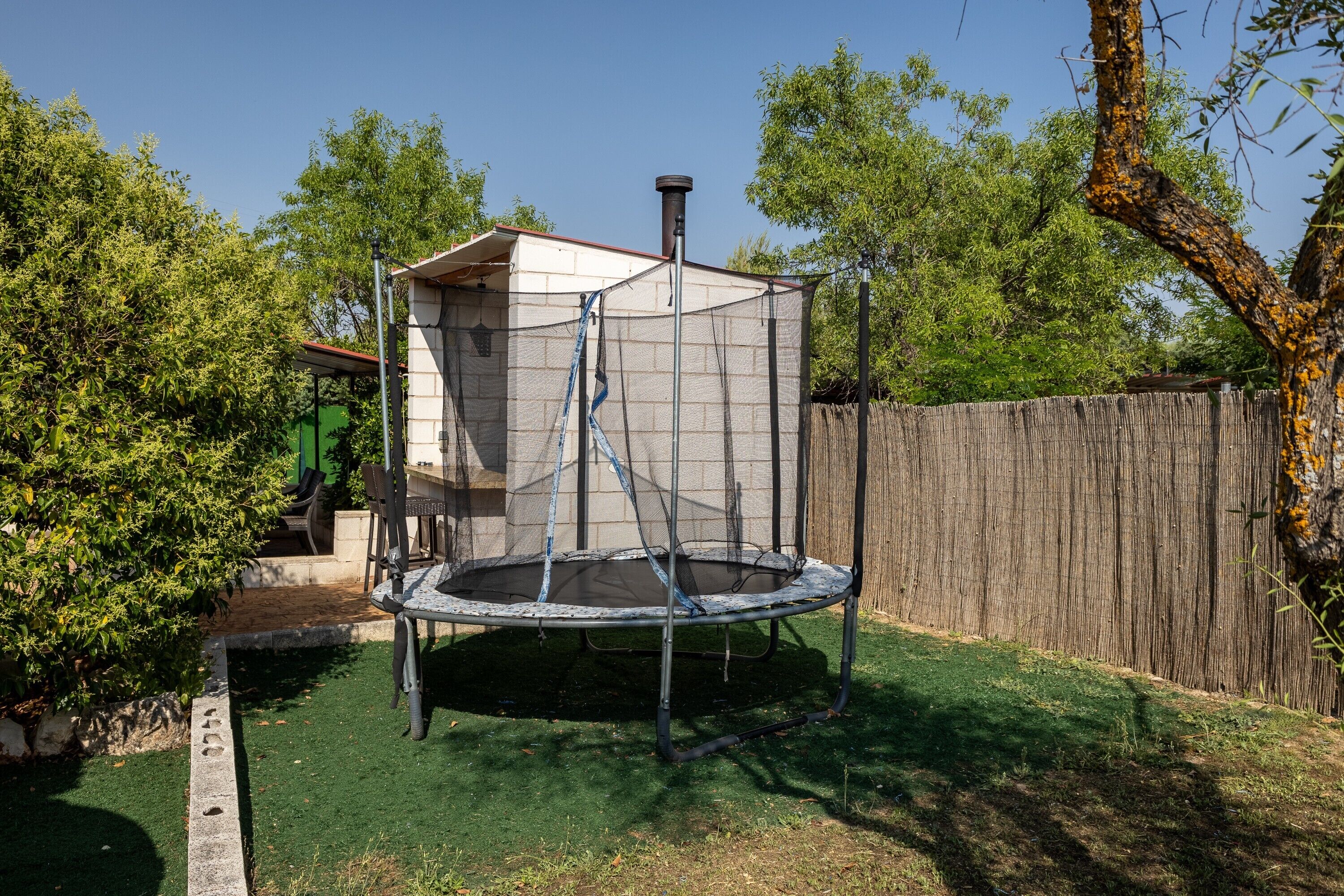 A trampoline in a backyard with a wooden fence, a tree, and a shed.