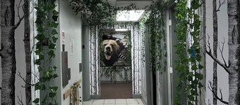 Cozy Bears Bunkers