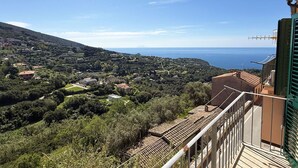 A balcony with a view of a coastal town, terraced vineyards, and a clear blue sky. - La Terrazza sul Borgo (Capoliveri)