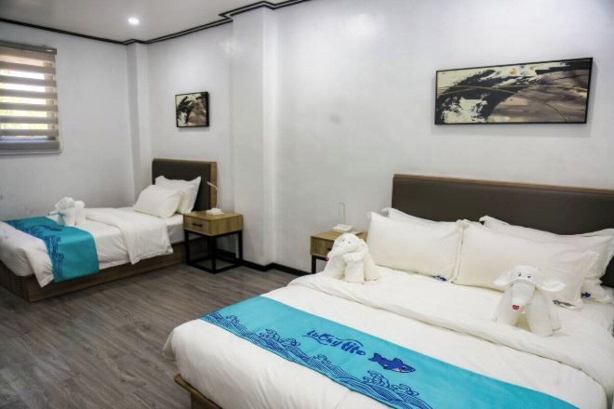Bàn, truy cập Internet không dây miễn phí