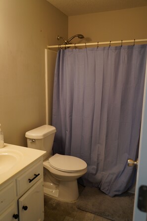 Hair dryer, towels, soap, shampoo - Well-Appointed 3BR Home w/ Standalone Guest House (Southaven)