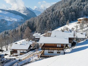Exterior - Alpbach chalet with a panoramic view and a sauna (Alpbach)