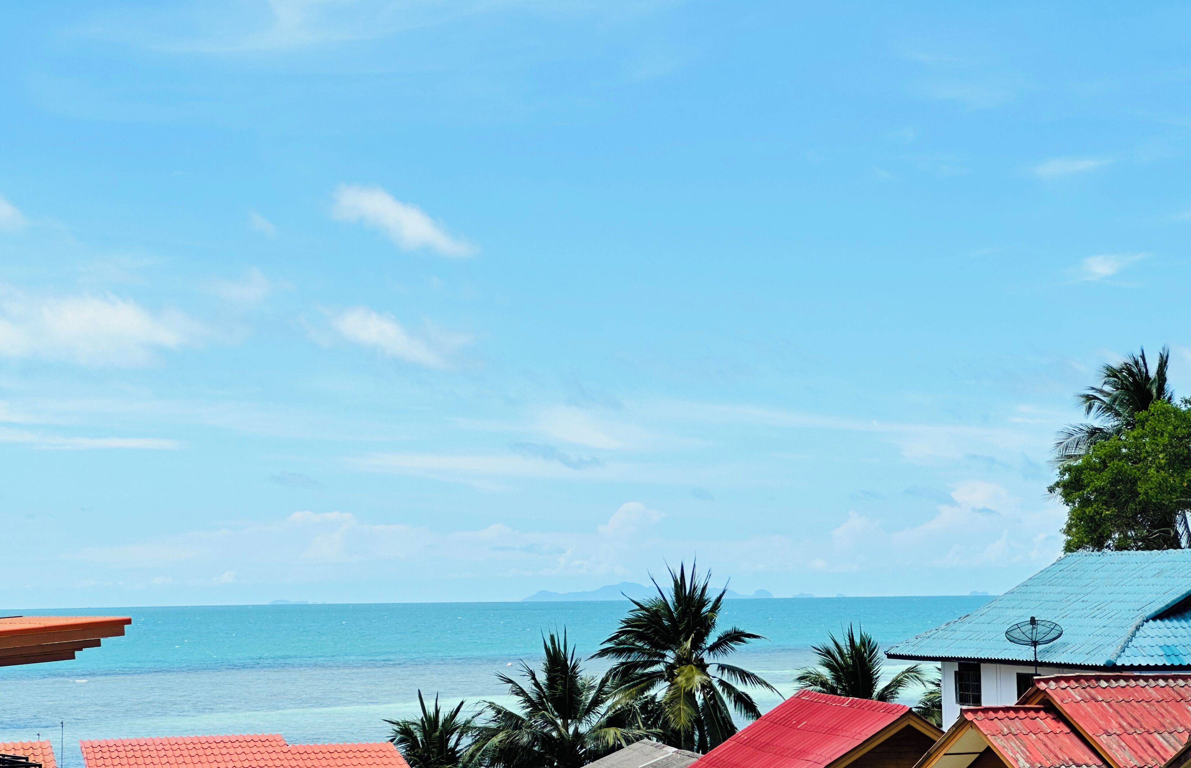 A coastal view with a clear sky, palm trees, and buildings with red roofs.