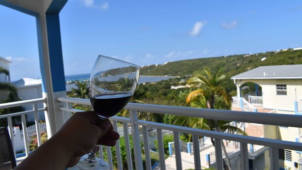 Una mano sosteniendo una copa de vino tinto en un balcón con vistas a un paisaje costero y edificios.