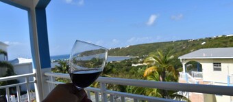 Charming 1-bedroom villa in wonderful South Hill with AC, WiFi