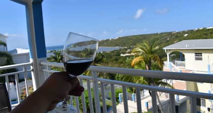 Charming 1-bedroom villa in wonderful South Hill with AC, WiFi