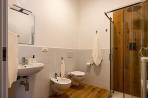 Shower, hair dryer, bidet, towels