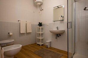 Ducha, secador de pelo, bidé y toallas