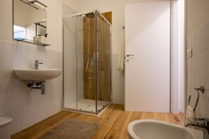 Shower, hair dryer, bidet, towels