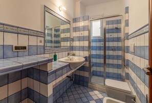 Shower, hair dryer, bidet, towels