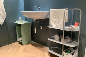 Shower, hair dryer, bidet, towels