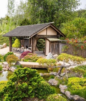 Property grounds - MeadowView on Darby, by Vinifera Homes (Sebastopol)