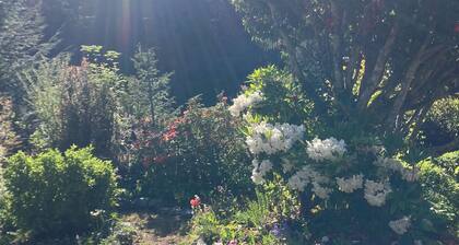 Charming 1-bedroom house surrounded by trees just outside tranquil Waldport