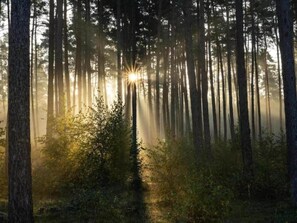 Miscellaneous - Holiday Home in Germany with Garden Terrace (Brakel-Bellersen)