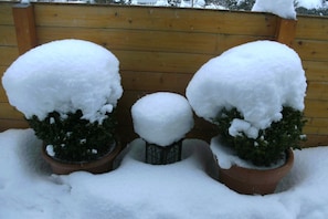 Property grounds - Terrace Apartment by the Zoo (Morbach-Riedenburg)