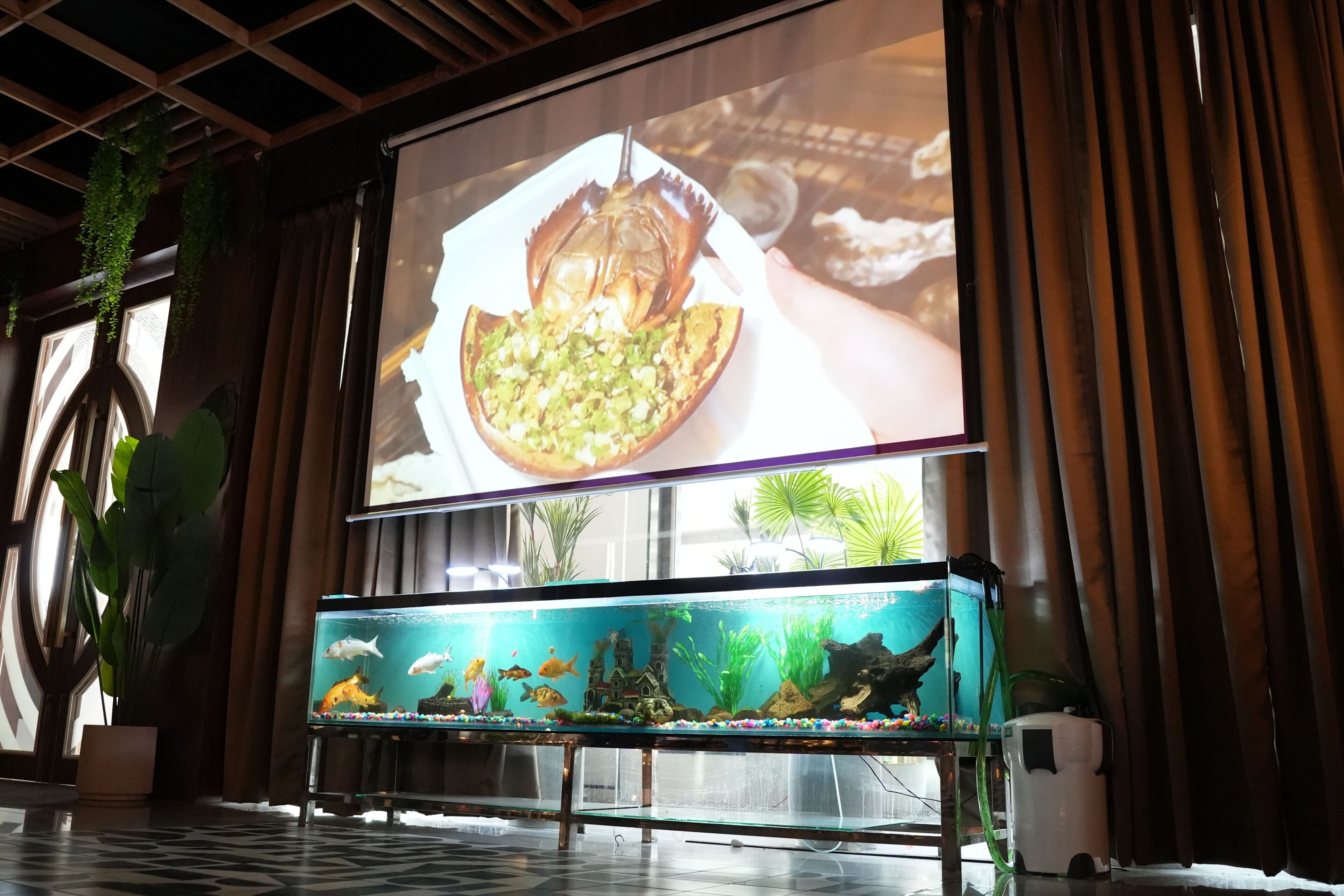 A fish tank with various fish and decorations, a projection screen displaying a food item, and potted plants.