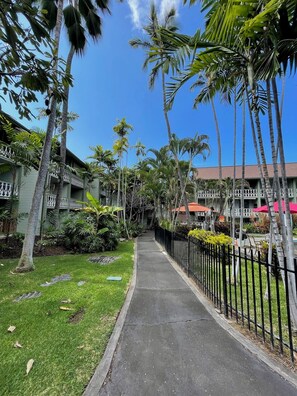 Property grounds - Beach Bungalow Condo in Kona - New Remodel with 3 Beds & Sleeps 4 + Pool (Kailua-Kona)