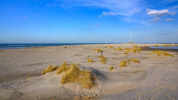 Una spiaggia sabbiosa con dune e un faro all'orizzonte.