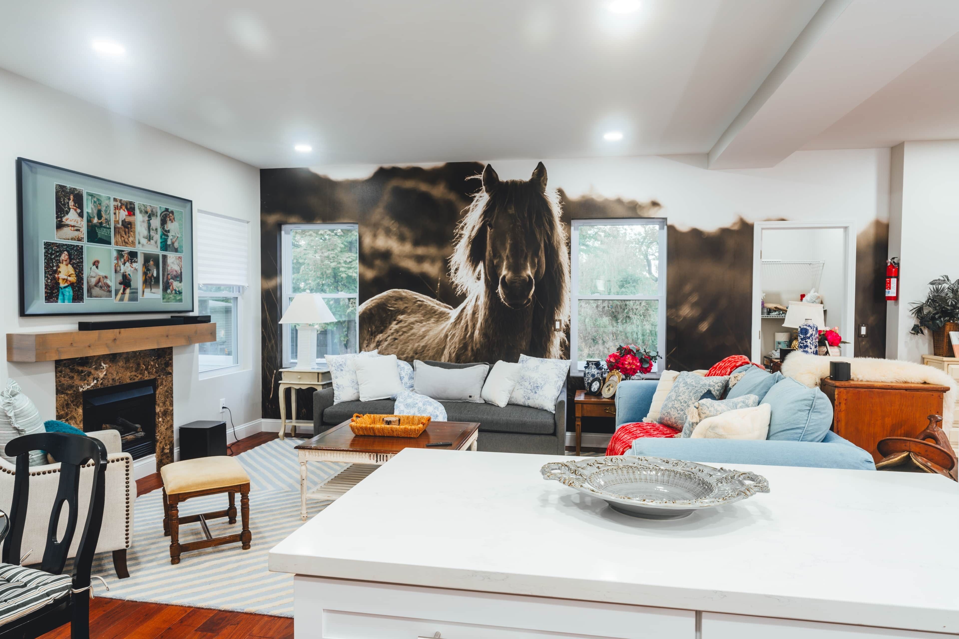 Smart TV, fireplace, computer monitors