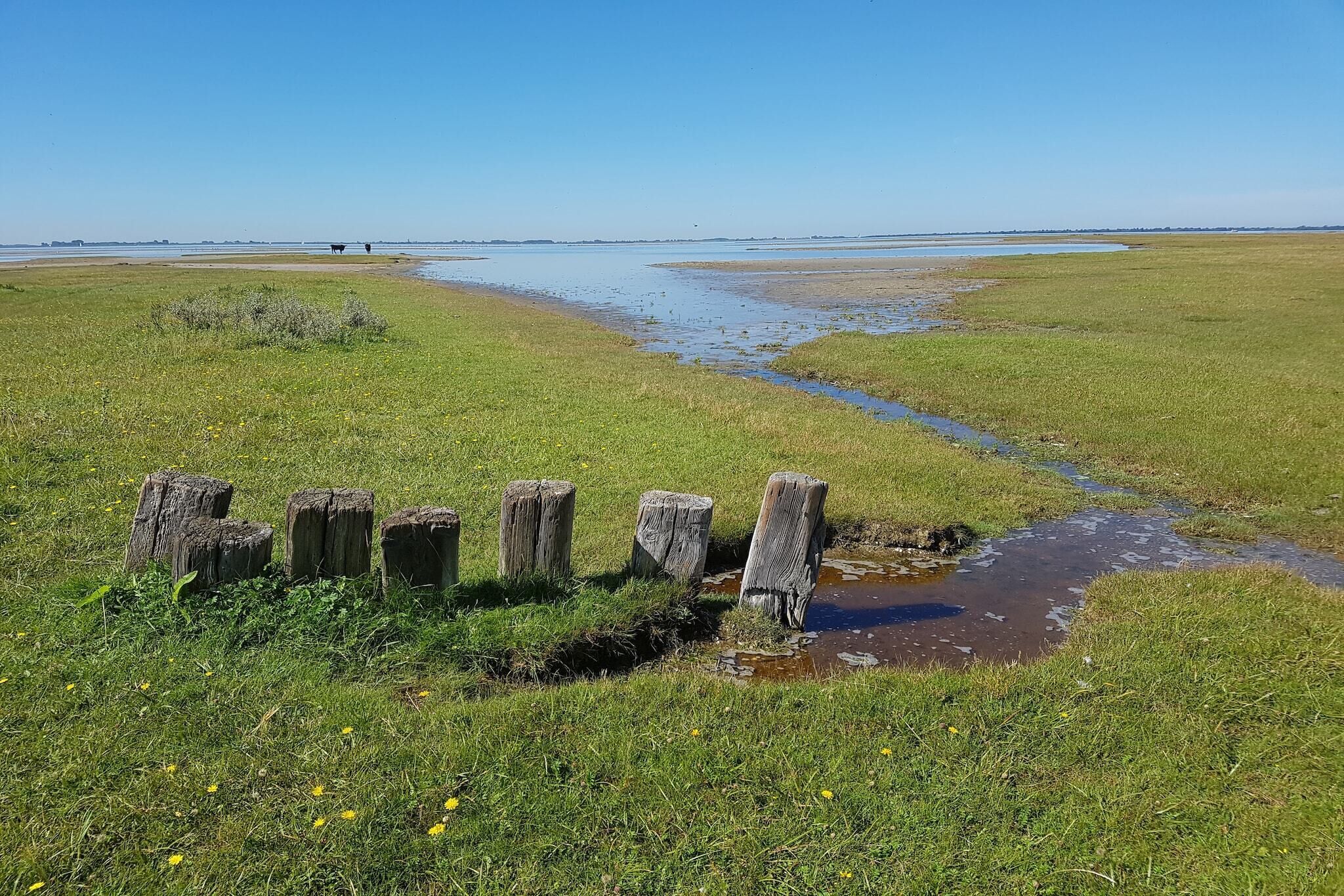 A grassy field with a small stream and wooden posts.