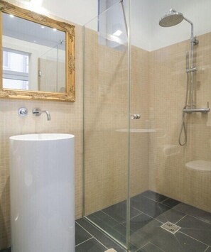 Shower, hair dryer, towels