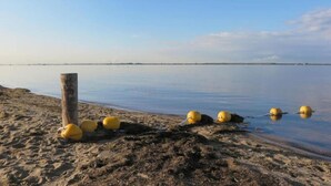A sandy beach with yellow buoys and a wooden post. - Bungalow in South Holland with Private Jetty (Simonshaven)