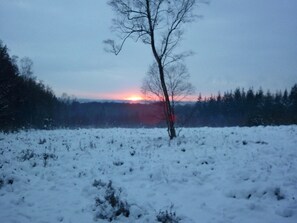 Un paysage enneigé avec un arbre au premier plan et un coucher de soleil en arrière-plan.
