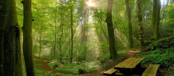 Lodge près d'Echternach & Parc Naturel Eifel