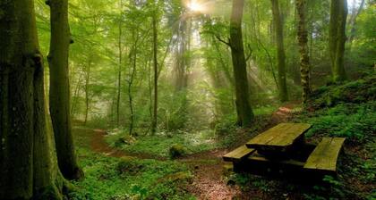 Zelt-Lodge bei Echternach & Naturpark Eifel