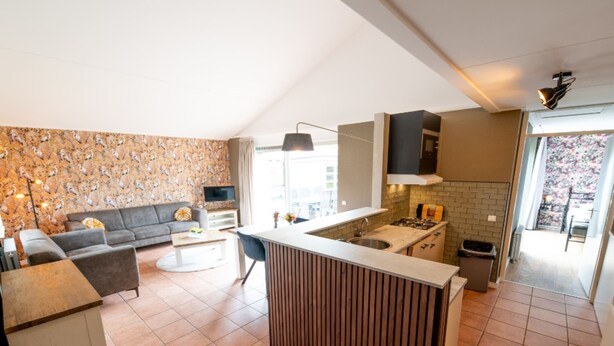 Unclassified image, 1 of 37, button - Holiday Home in Zevenhuizen near Delft (Zevenhuizen)