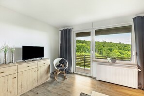 TV, fireplace, DVD player