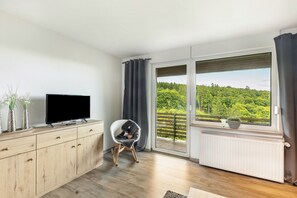 Fernseher, Kamin, DVD-Player