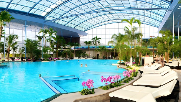 Une piscine intérieure dotée d’un toit en verre, entourée de chaises longues et de palmiers.