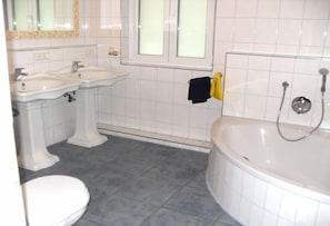 Shower, hair dryer