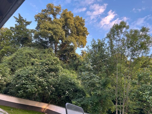 Hundefreundliche Ferienwohnung mit Terrasse – Natur & Arbeiten im Grünen