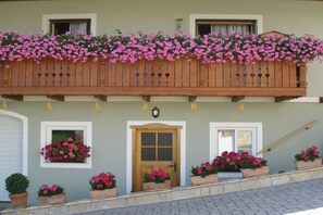 Exterior detail - Apartment in St. Stefan im Rosental (St. Stefan im Rosental)