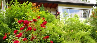 Apartment 'Jachmann, 80qm' with Private Terrace, Private Garden and Wi-Fi