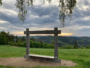 A wooden signpost with 'Hochenschwand' written on it, set against a backdrop of a cloudy sky and a forested landscape.