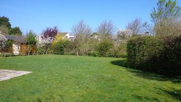 Área da propriedade