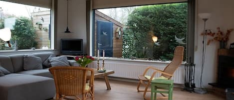 TV, fireplace