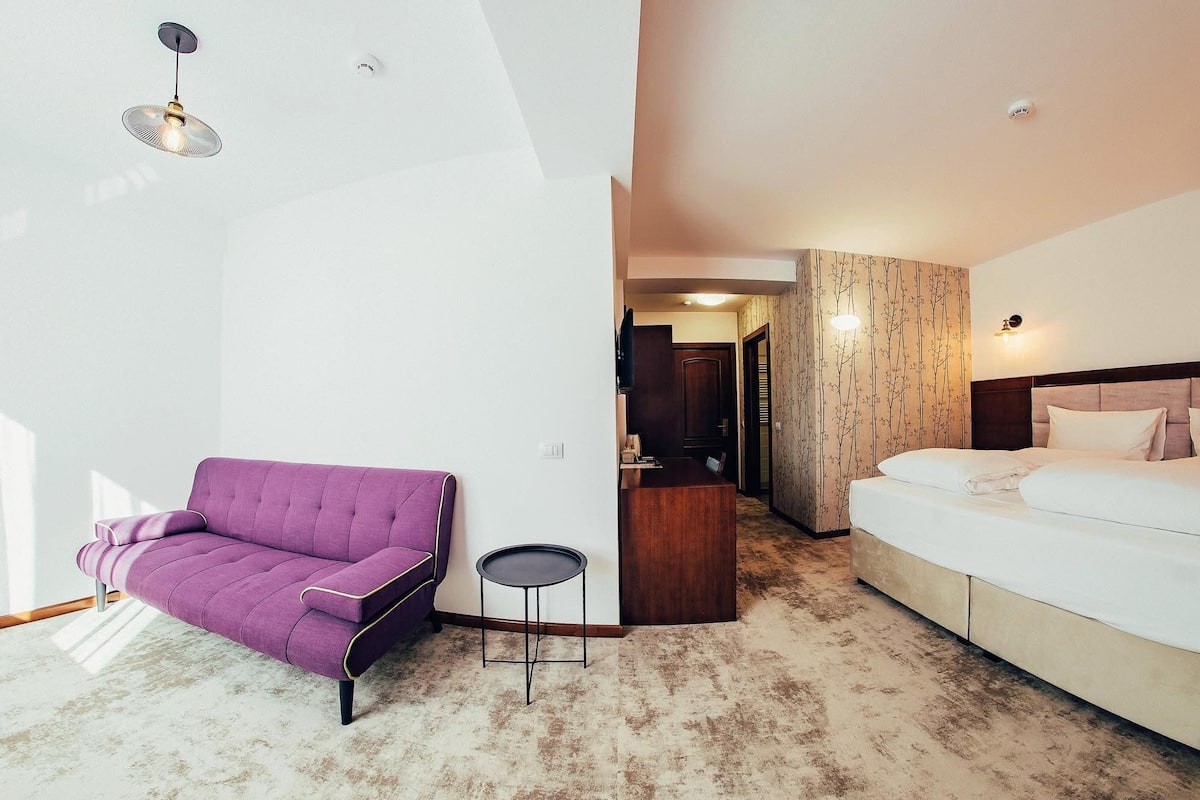 Family Room, 1 King Bed with Sofa bed