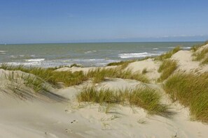 Een strand met duinen en gras.