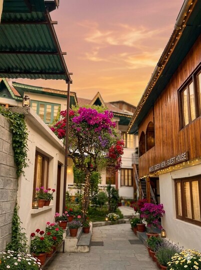 Hotel New Green view-apart