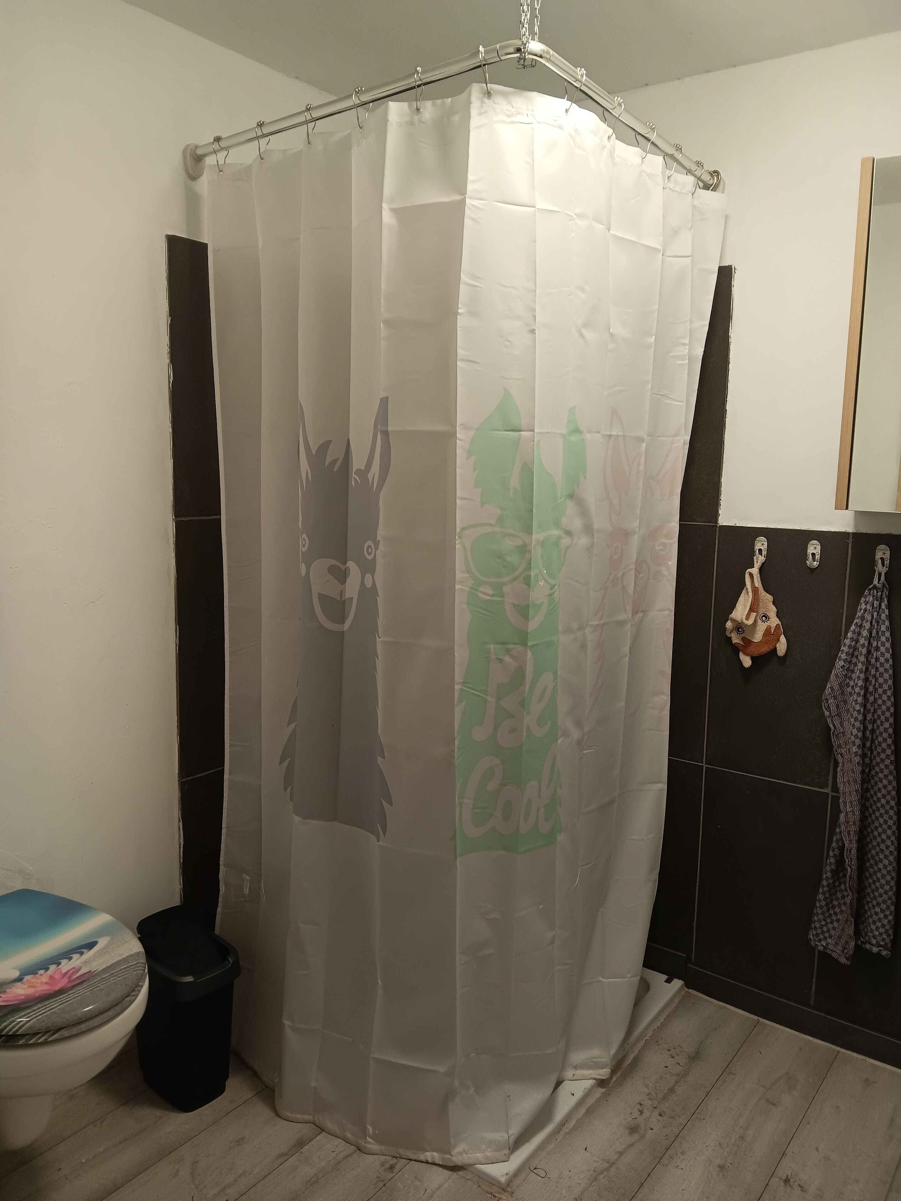 Hair dryer, soap, toilet paper