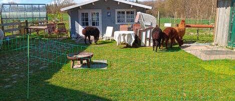 Overnattingsstedets uteområder