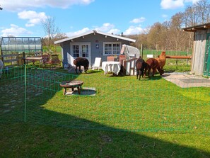 A fenced outdoor area with a house, a table, and chairs.