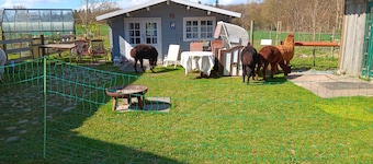 Sonnenscheinhof Alpakas, Alpaka Hütte